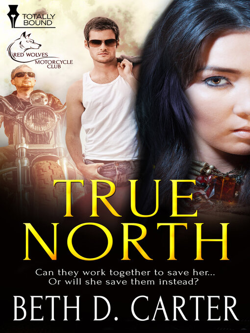 Title details for True North by Beth D. Carter - Available